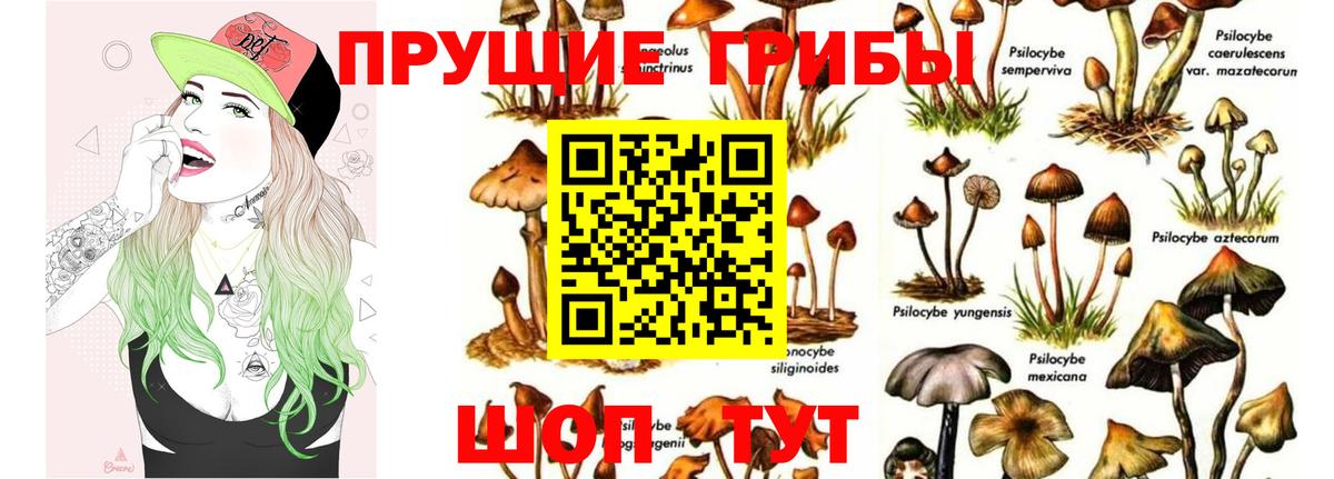 Галлюциногенные грибы прущие грибы  Вход с VPN  закладки  Алатырь 