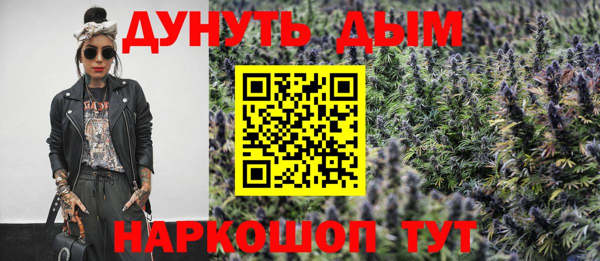 Каннабис OG Kush Алатырь